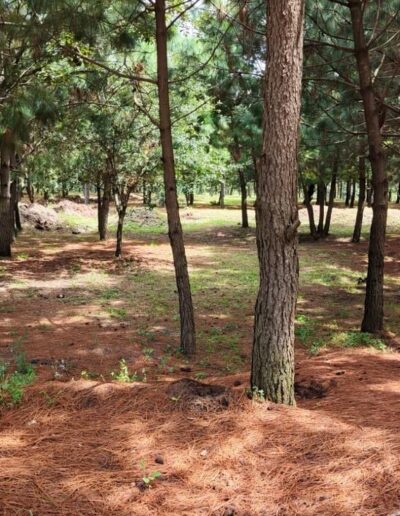 Proyecto residencial La Colonia 1 en Guatemala